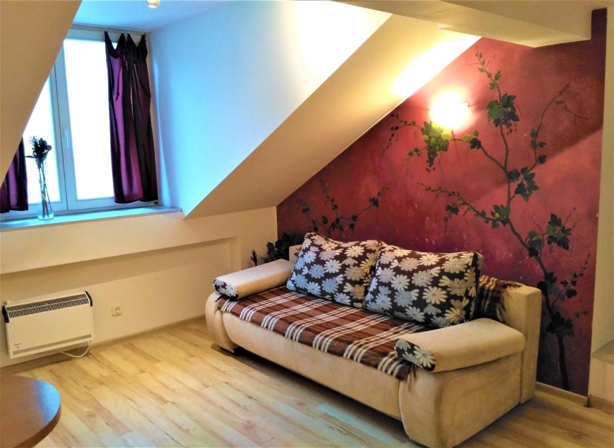 Krakow City Centre Apartment - Bon Turystyczny ภายนอก รูปภาพ